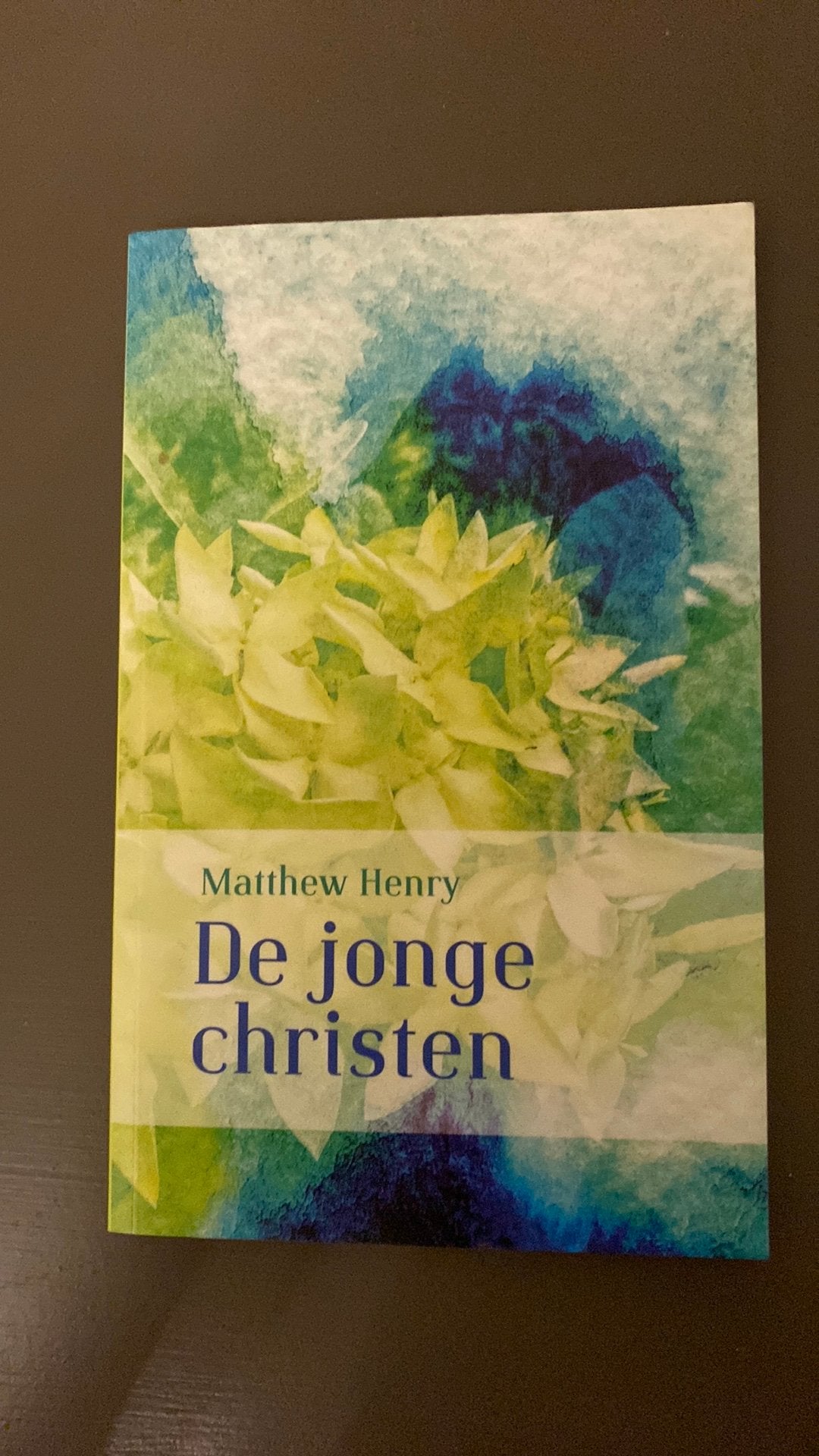 Matthew Henry - De jonge Christen, Boeken, Ophalen of Verzenden, Nieuw