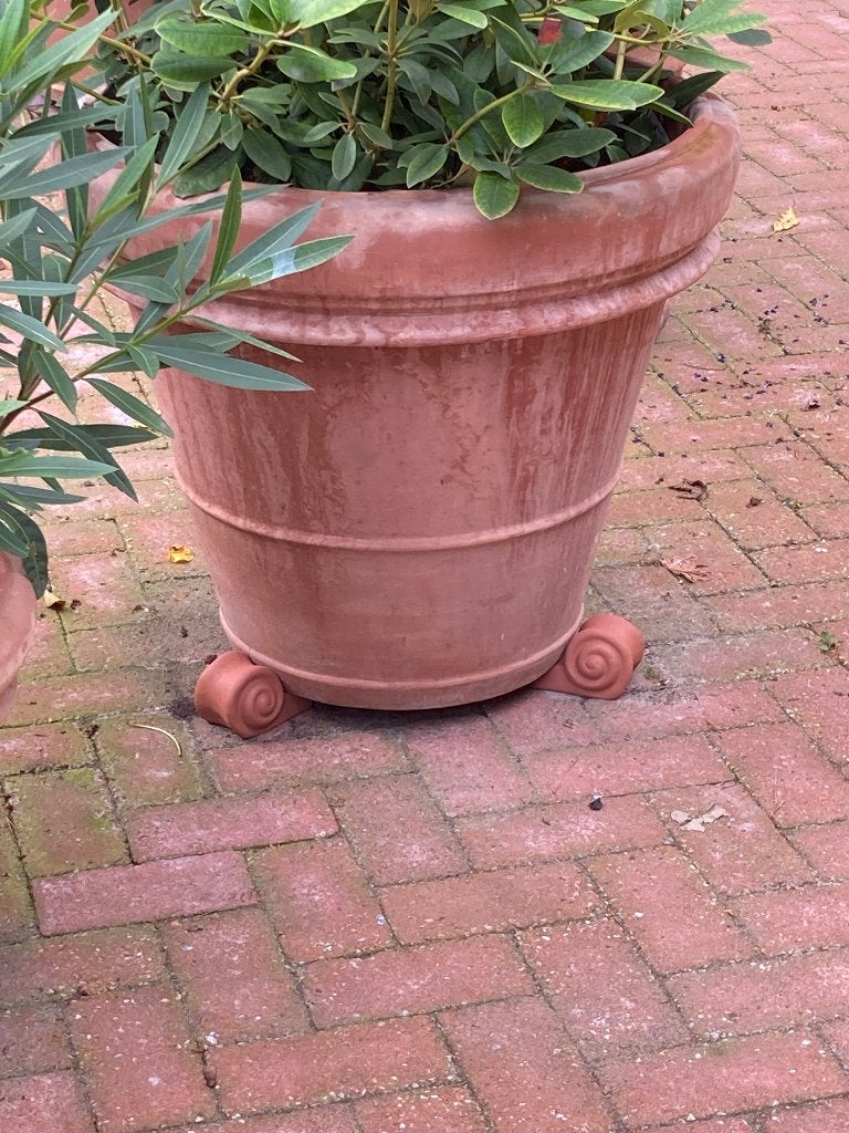 Grote zware Terra Cotta Krulvoet set van 3, Nieuw, Ophalen of Verzenden, Tuin, Beton