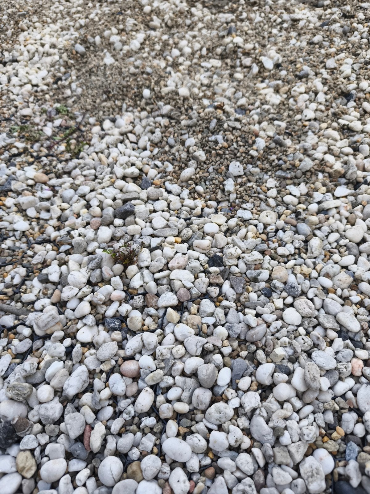 Grind en zand (10 zakken, ook los af te halen), Ophalen of Verzenden