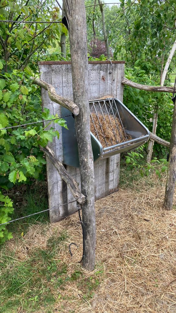 Hulp gezocht voor de verzorging van paarden, Dieren en Toebehoren, Stalling en Weidegang