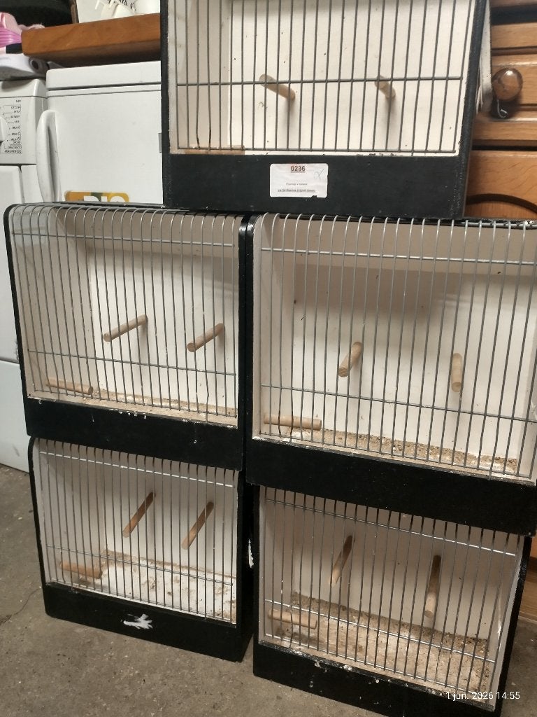 tentoonstellings kooien, Ophalen of Verzenden, Gebruikt, Hout, Vogelkooi