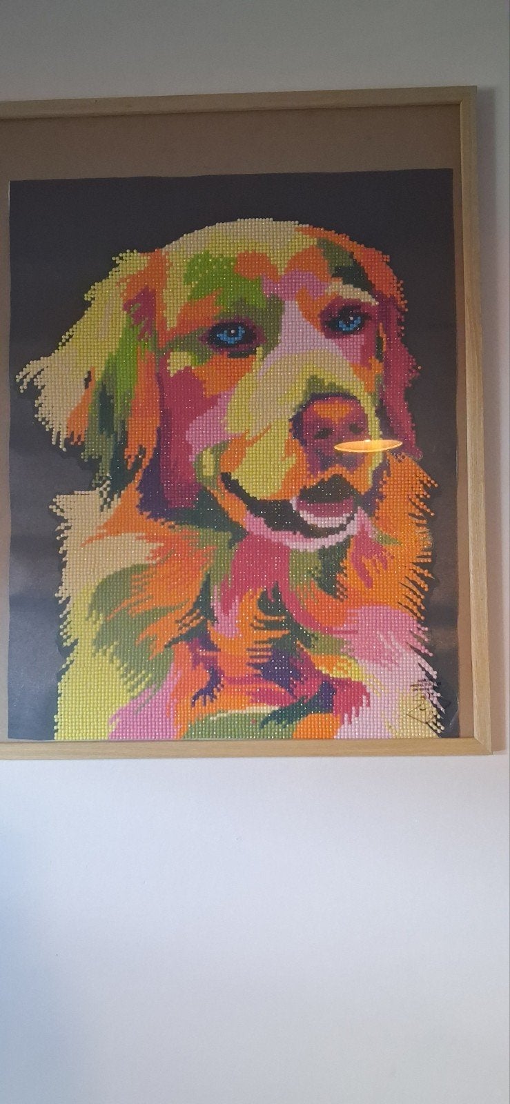 Diamond painting schilderij  hond, Ophalen, Schilderij