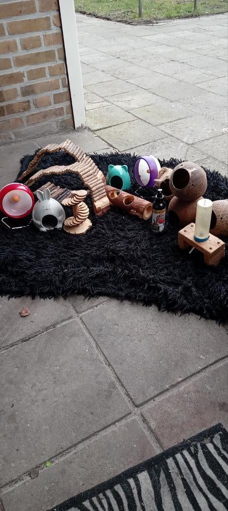 knaagdier spullen, Dieren en Toebehoren, Knaagdieren, Januari, Meerdere dieren, Hamster