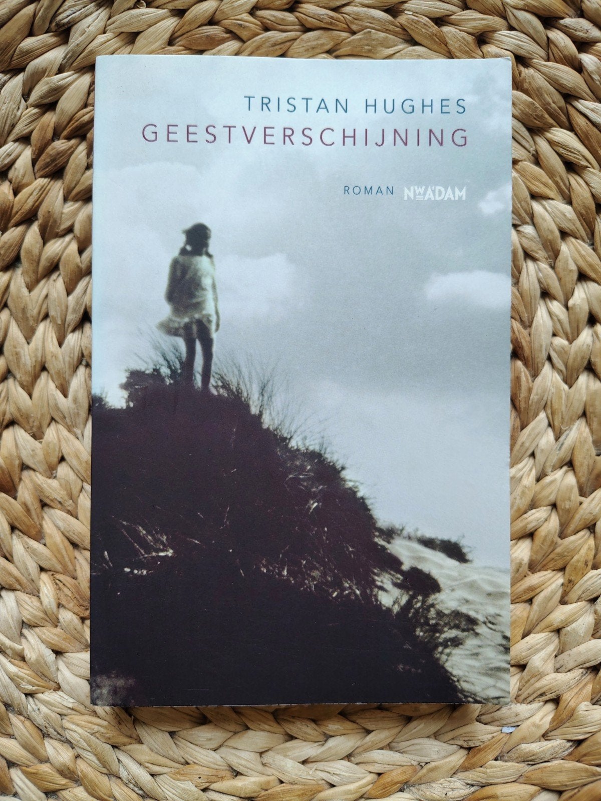 Tristan Hughes - Geestverschijning, Ophalen of Verzenden, Zo goed als nieuw