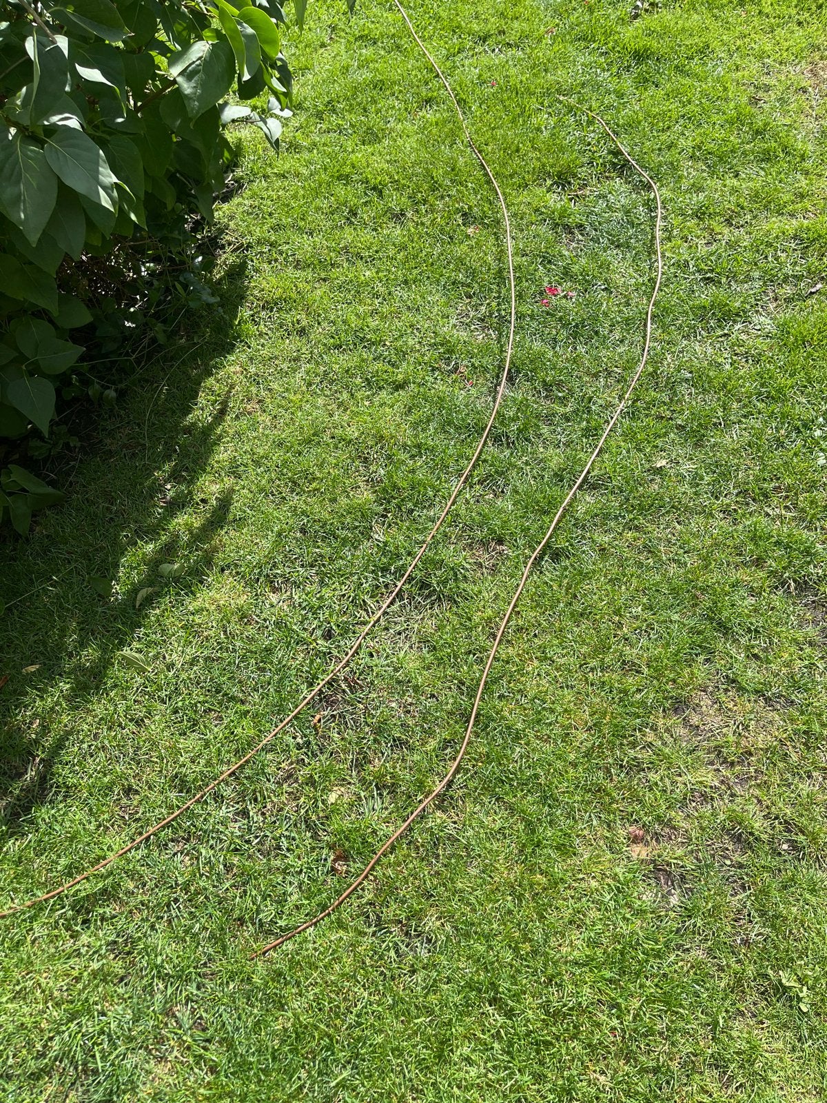 Dikke koperdraad voor aardpen - 2 stuks, Ophalen, Nieuw, Overige merken, Kabel of Snoer