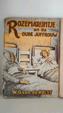 Rozemarijntje boek van W.G. van de Hulst, Ophalen of Verzenden, Gelezen, W.G. van de Hulst, Fictie algemeen