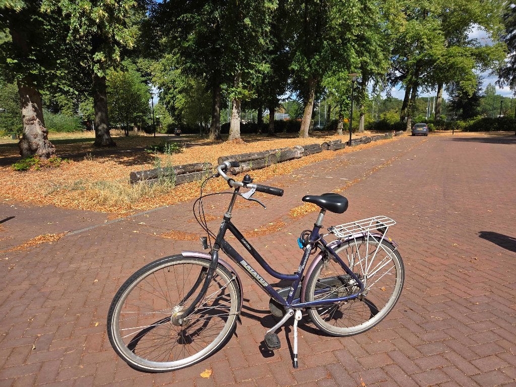 Batavus Staccato with a step-through frame, Ophalen, Gebruikt, Batavus, 56 cm of meer