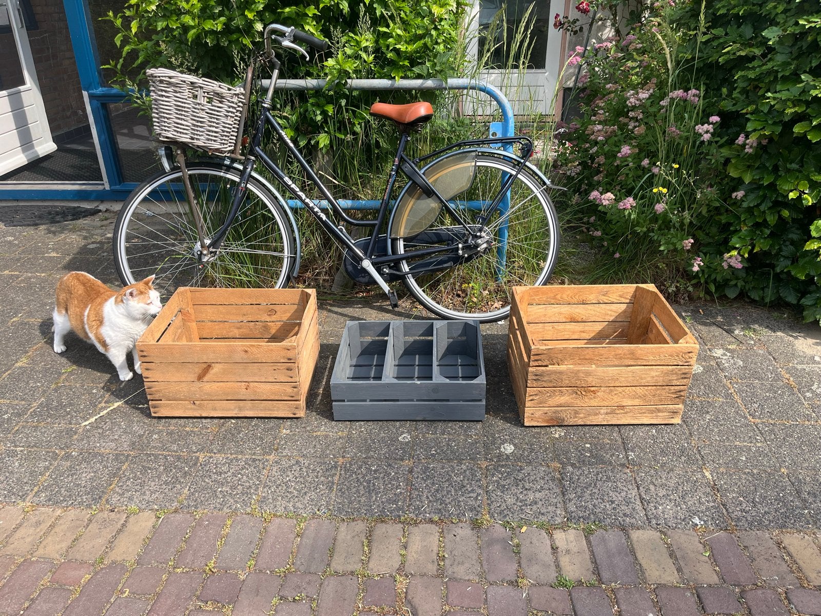 Stevige houten kratten voor diverse doeleinden, Doe-het-zelf en Verbouw, Kratten en Dozen, Ophalen, Gebruikt, Minder dan 35 cm