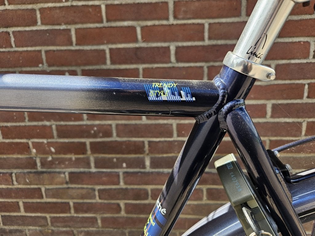 Gazelle fiets, Fietsen en Brommers, Ophalen, Gebruikt, Versnellingen, 56 cm of meer
