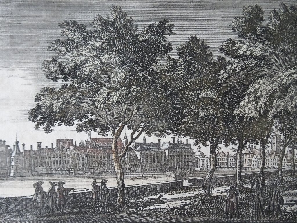 Ets zicht op Buitenhof en Hofvijver Den Haag, P. Schenk 1695, Origineel, Landschap, 1700 - 1799, Verzenden