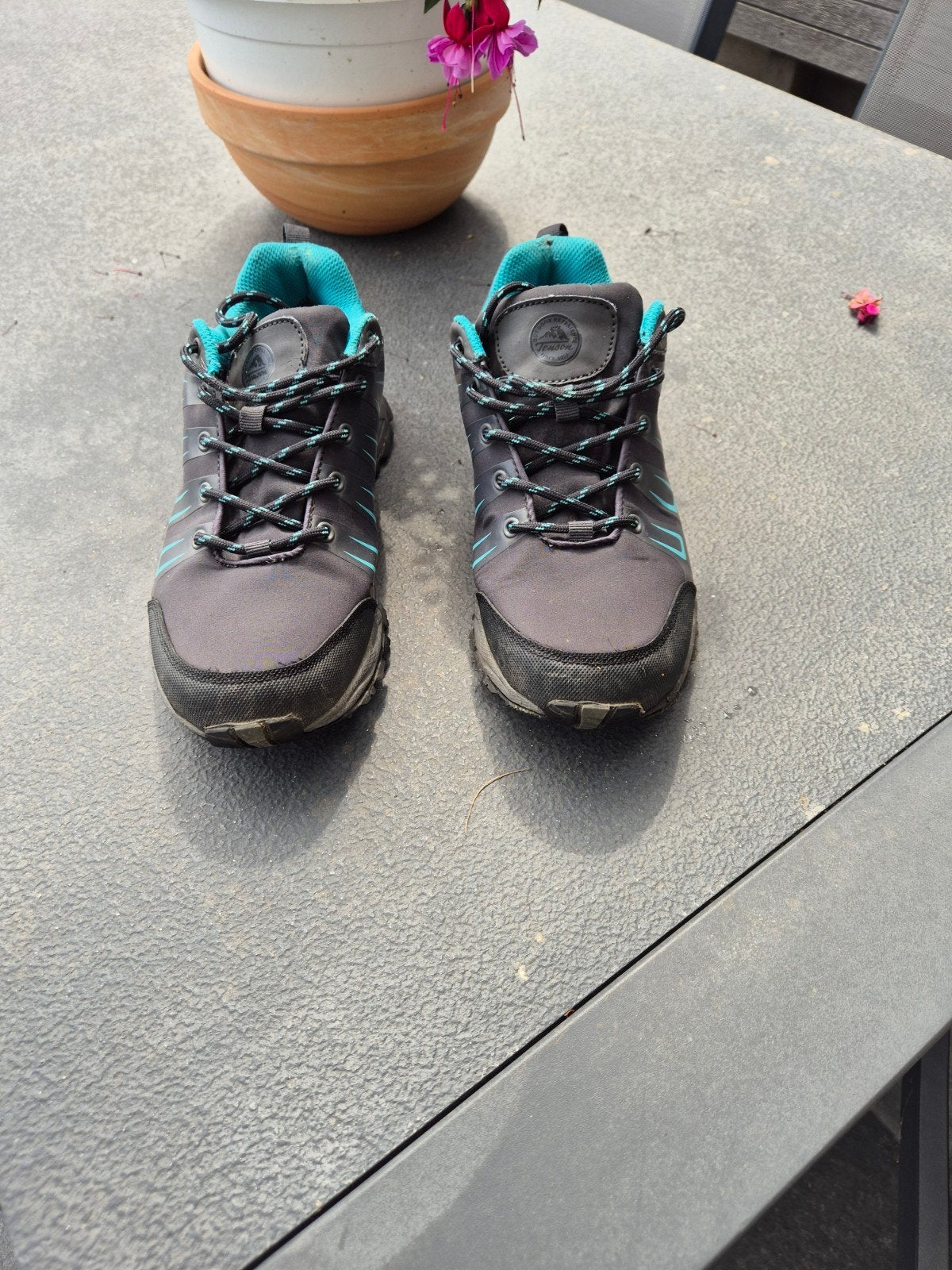 Tenson wandelschoenen - Comfortabel en stevig, Ophalen of Verzenden, Gebruikt, Schoenen