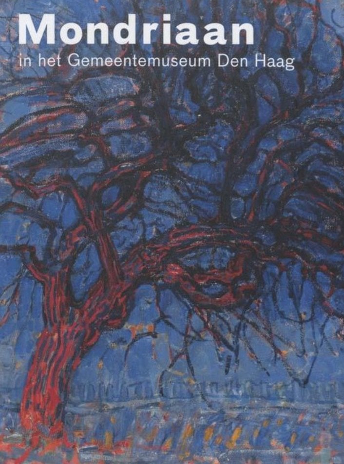 Mondriaan in het Gemeentemuseum Den Haag, Ophalen of Verzenden, Zo goed als nieuw, Hans Janssen, Schilder- en Tekenkunst