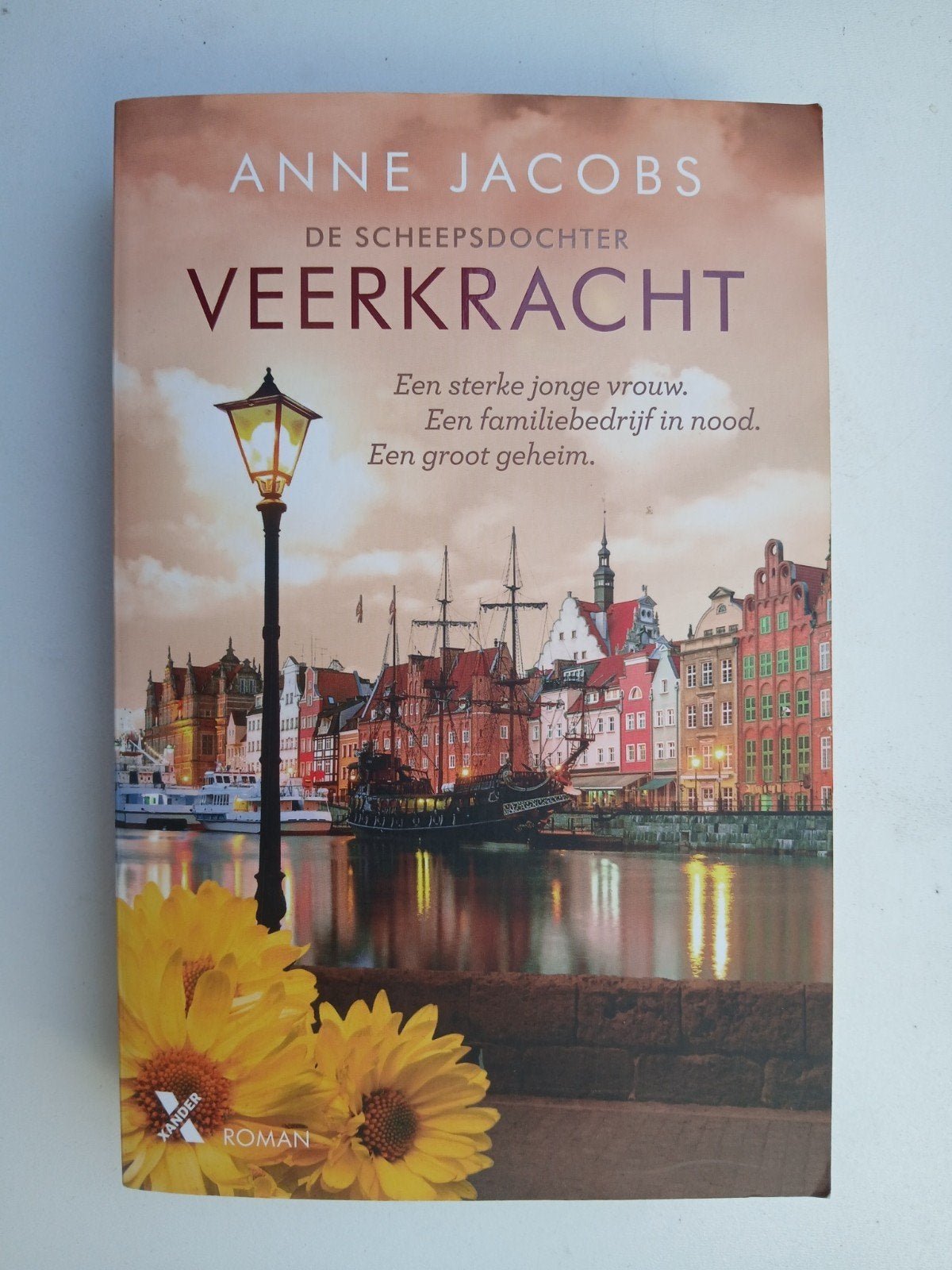 Anne Jacobs - Veerkracht, Ophalen of Verzenden, Anne Jacobs