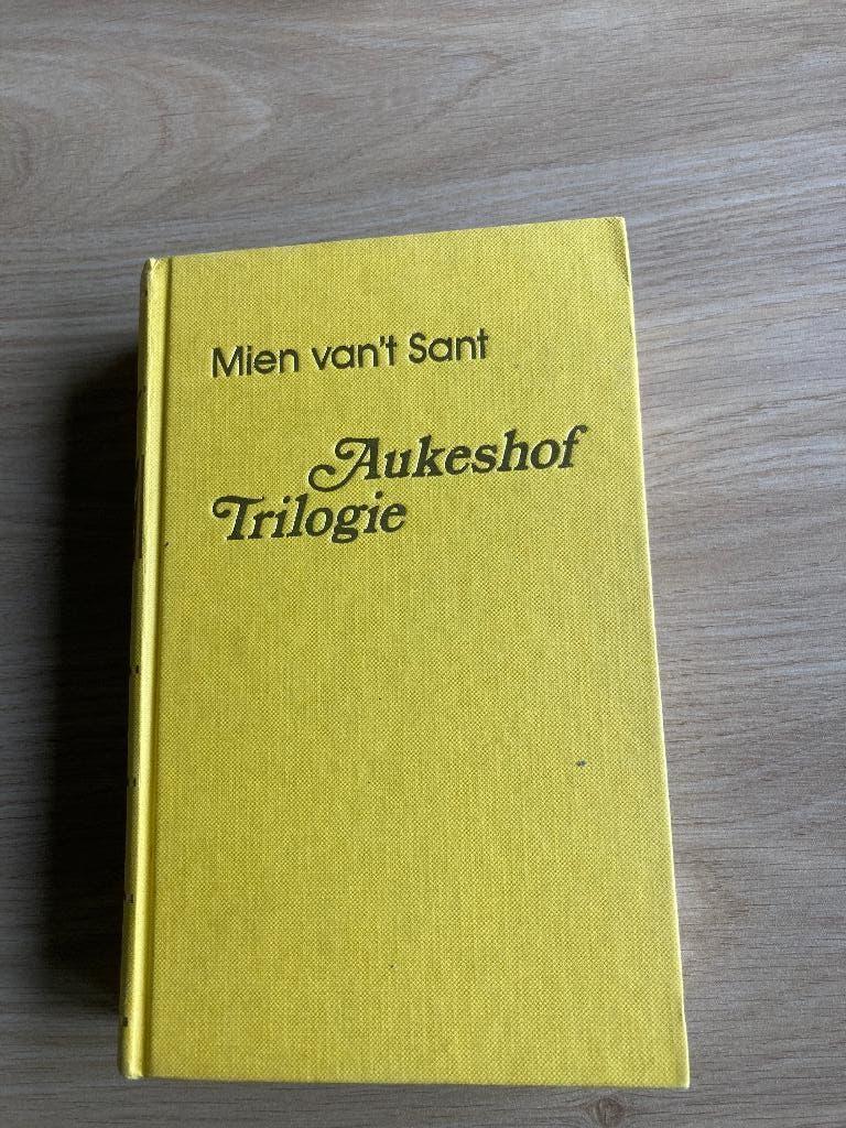 Boek Mien van't Sant, Boeken, Streekboeken en Streekromans, Ophalen of Verzenden, Gelezen
