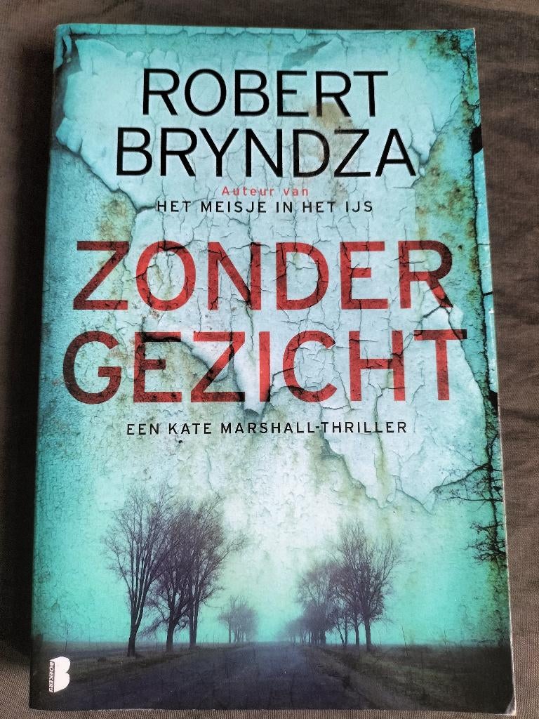 Robert Bryndza - Zonder gezicht, Boeken, Thrillers, Zo goed als nieuw, Ophalen of Verzenden