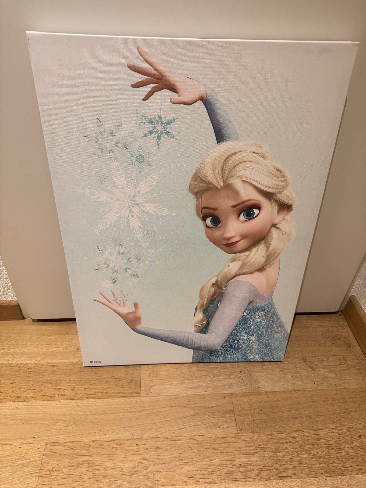 Canvas Frozen Elsa - Disney prinses schilderij, 50 – 75, Ophalen of Verzenden, Zo goed als nieuw, Schilderij