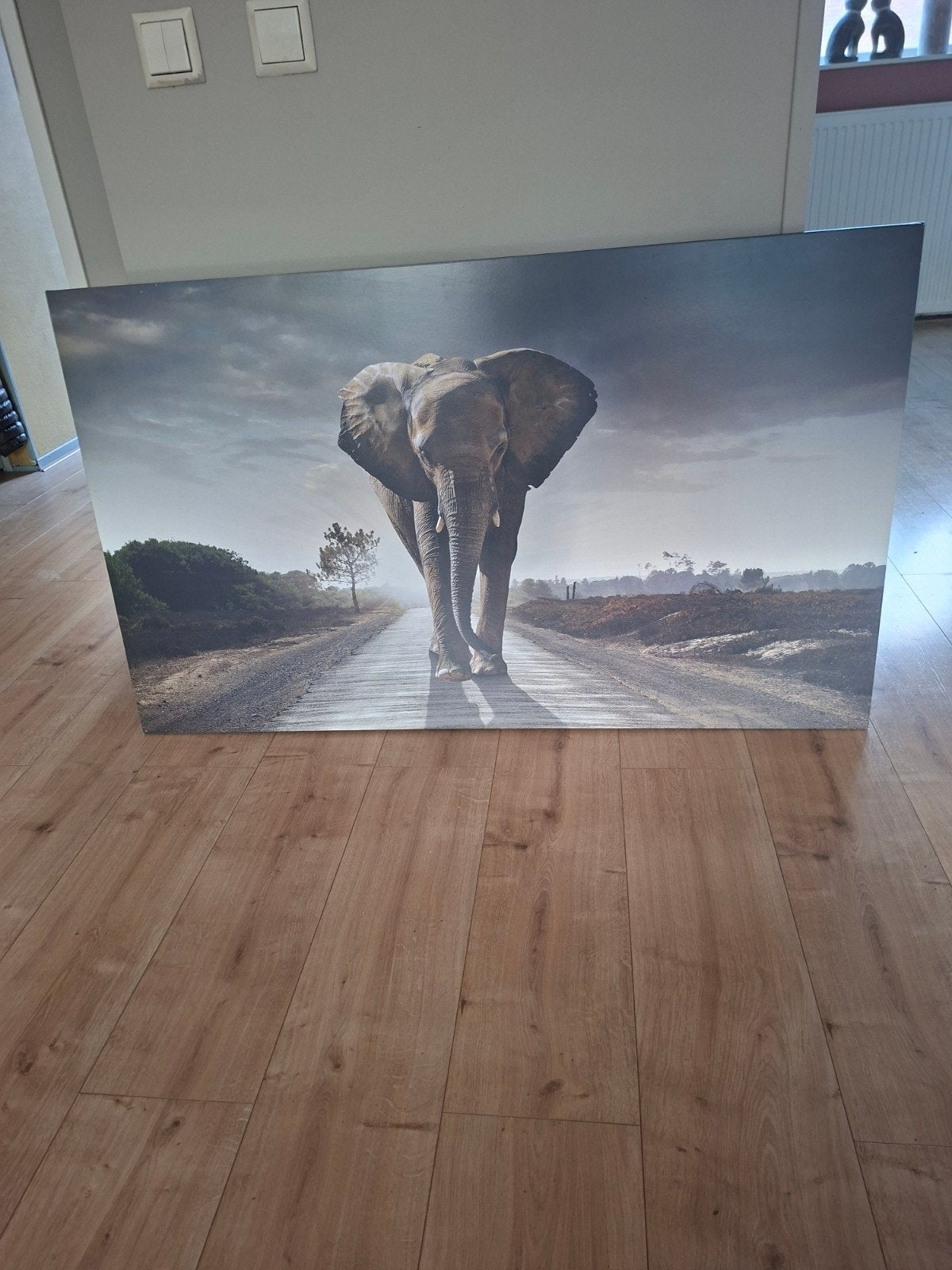 Reinders Canvas Schilderij Olifant op Weg, Ophalen, 50 – 75, Gebruikt, Schilderij