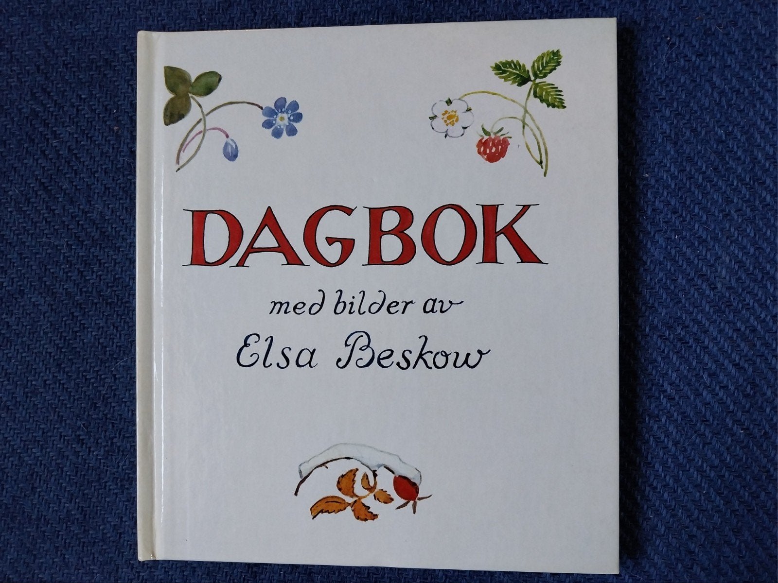 Dagboek van Elsa Beskow en Tante Brocante, Ophalen of Verzenden, Gelezen