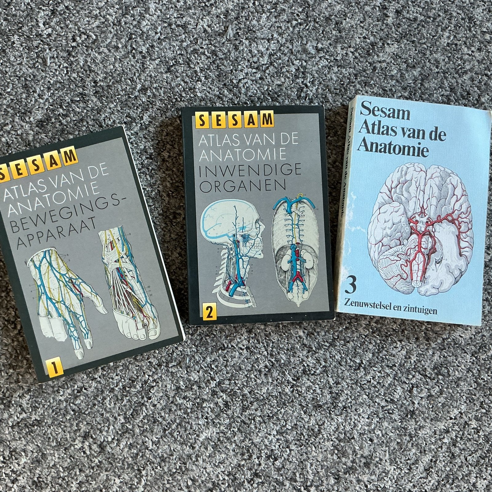 Sesam Atlas van de Anatomie - deel 1, 2 en 3 (pocket), Boeken, Studieboeken en Cursussen, Ophalen of Verzenden, Beta, Gelezen