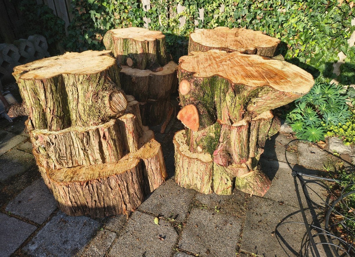 boomstammen, Ophalen of Verzenden