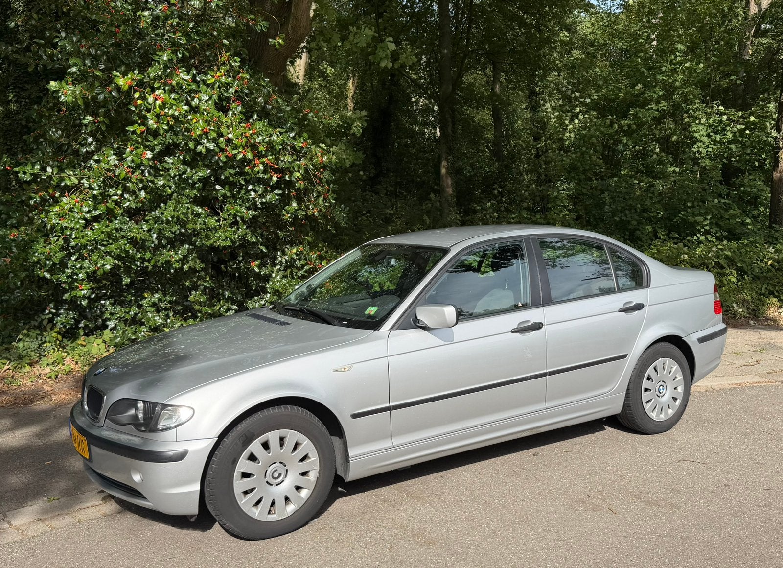 BMW 316i Sedan 1.8 – 2003 – 155.000 km – 1e eigenaar, Achterwielaandrijving, 1250 kg, 4 cilinders, 1796 cc