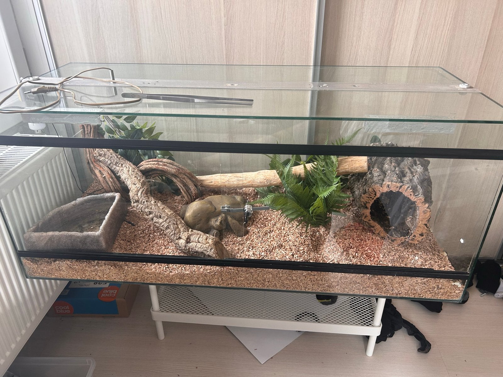 Terrarium 120x50x50 cm – netjes en compleet zonder dier, Ophalen, Nieuw