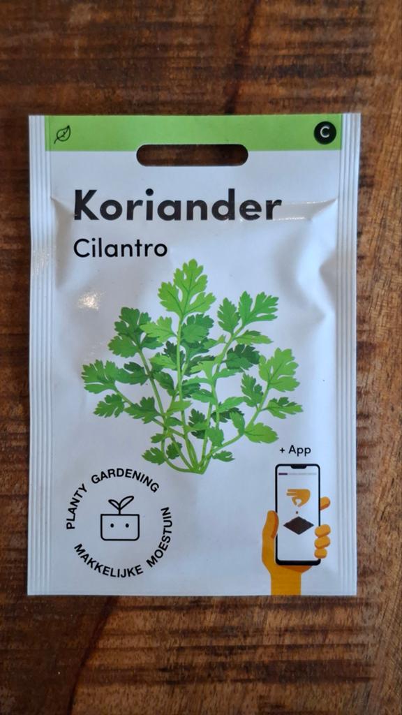 Koriander zaden ~ makkelijke moestuin, Ophalen of Verzenden, Volle zon