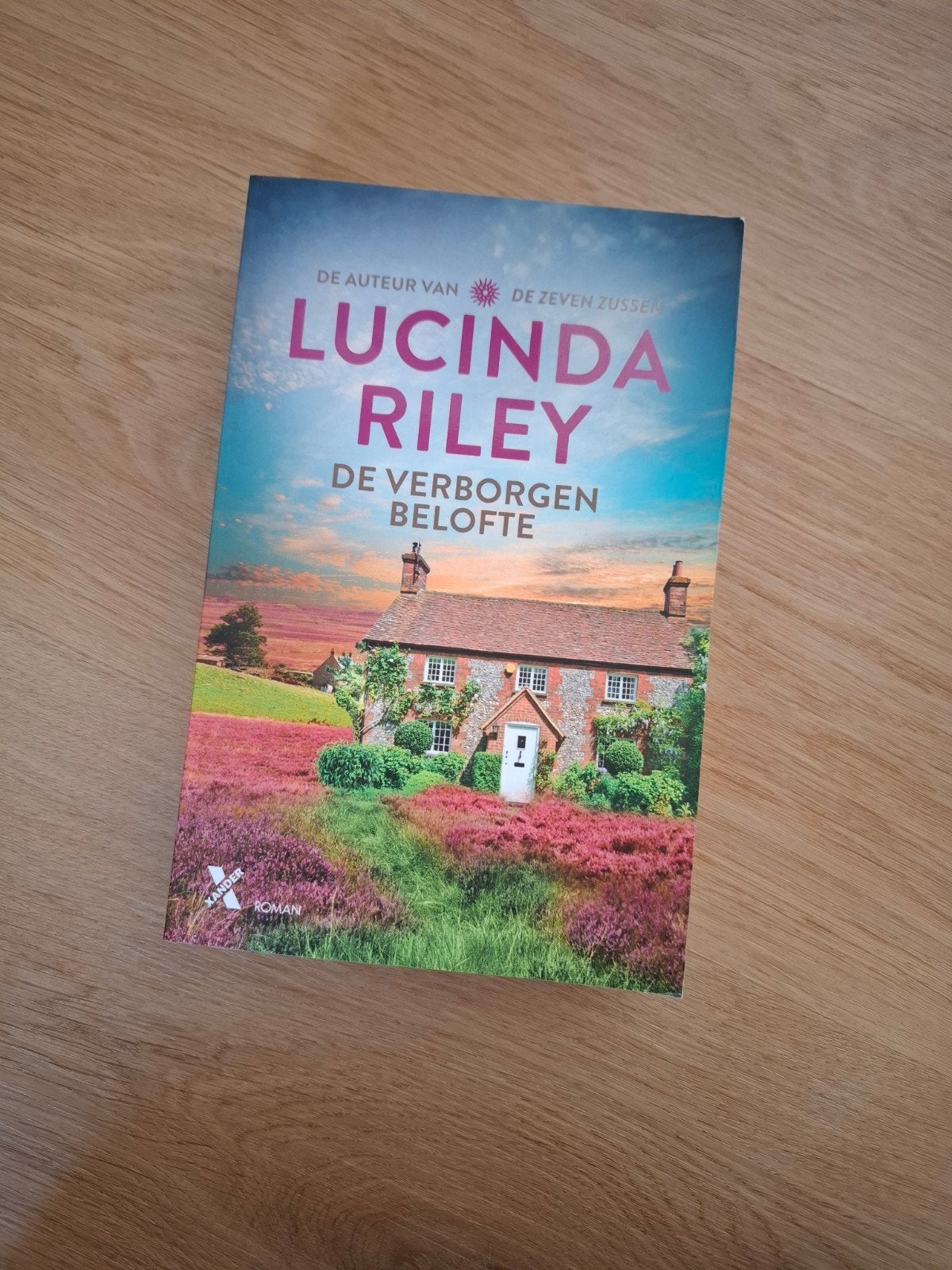 De verborgen belofte - Lucinda Riley, Boeken, Romans, Ophalen of Verzenden, Zo goed als nieuw, Lucinda Riley