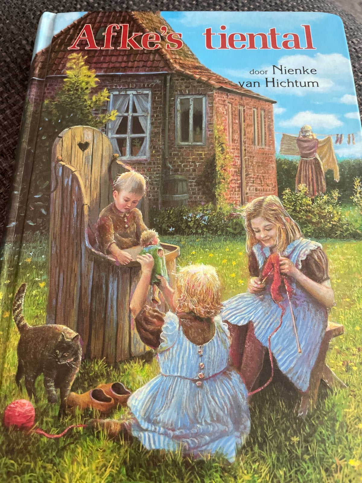 Afke's tiental - Nienke van Hichtum (kinderboek), Ophalen of Verzenden, Gelezen, Fictie algemeen