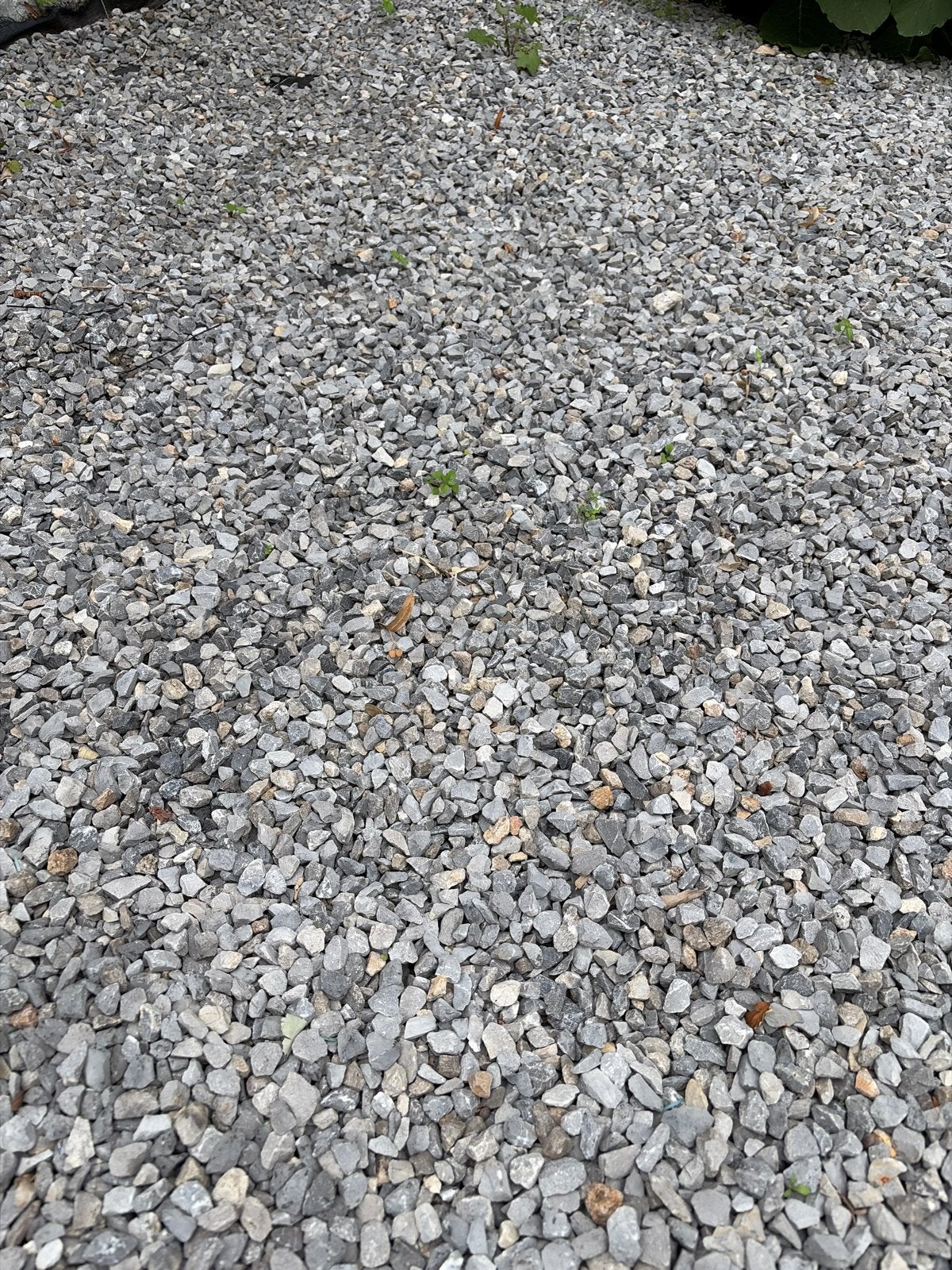 Grijs split voor tuin of oprit, Ophalen, Overige materialen, Gebruikt, Split