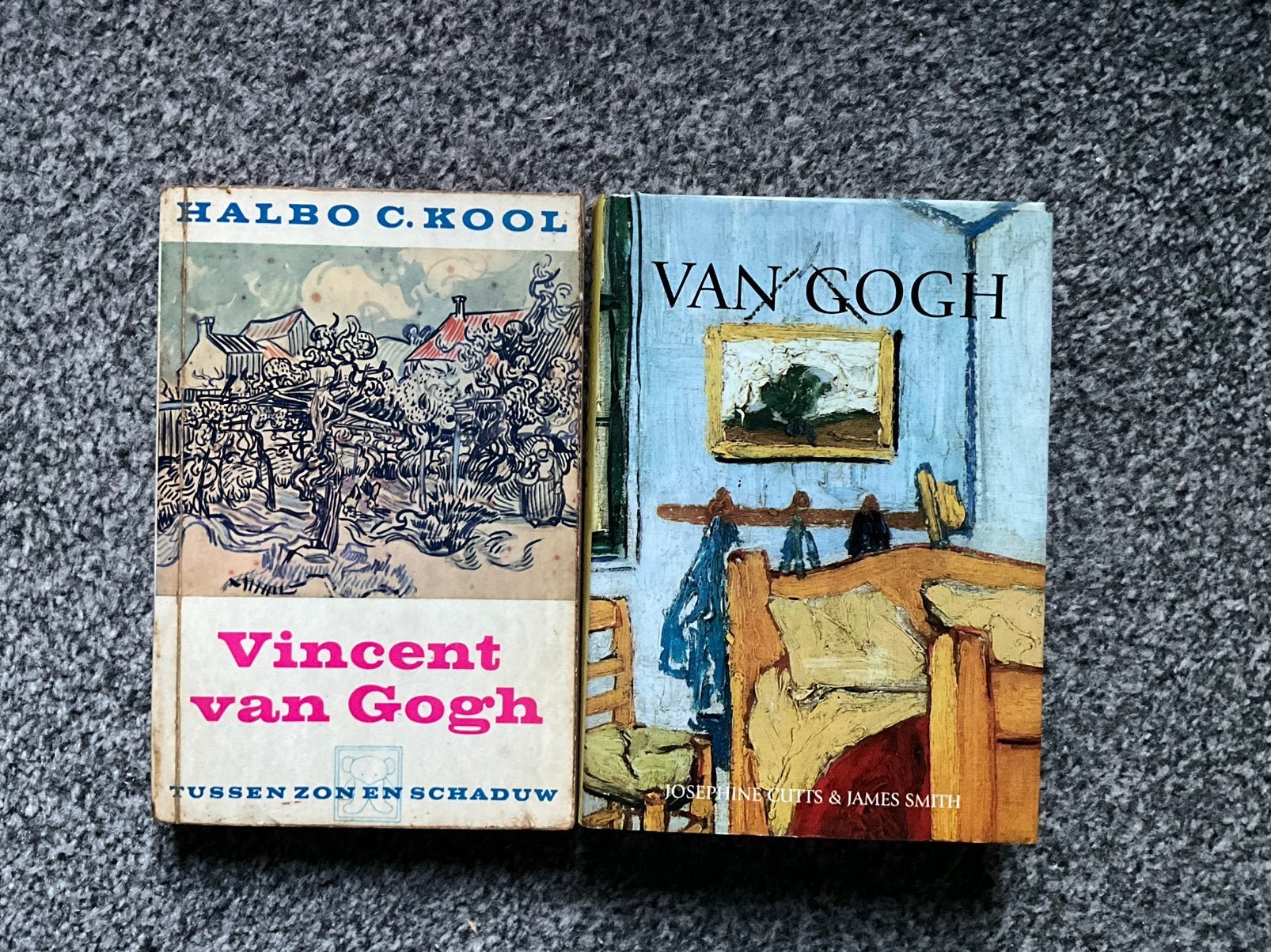 VINCENT VAN GOGH BIOGRAFIE, Ophalen of Verzenden, Zo goed als nieuw, Kunst en Cultuur
