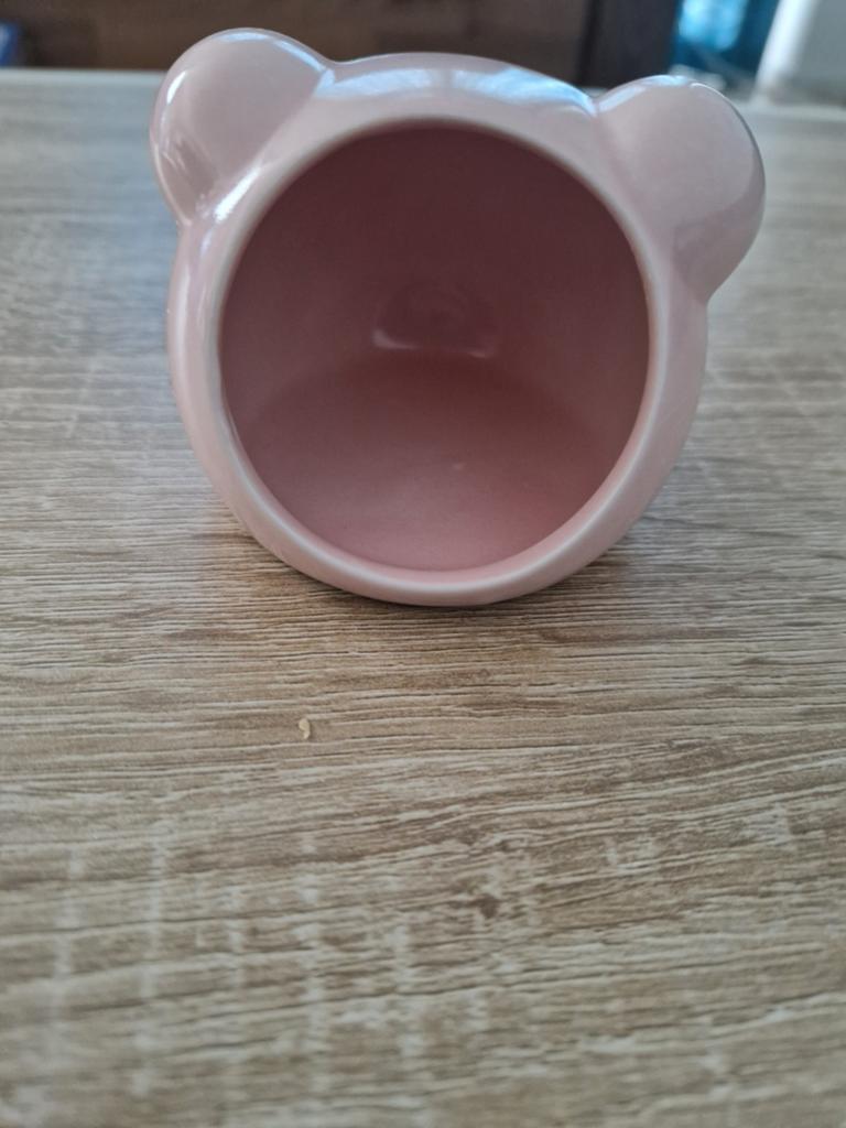 Hamster slaaphuisje, Ophalen of Verzenden, Nieuw, Overige typen