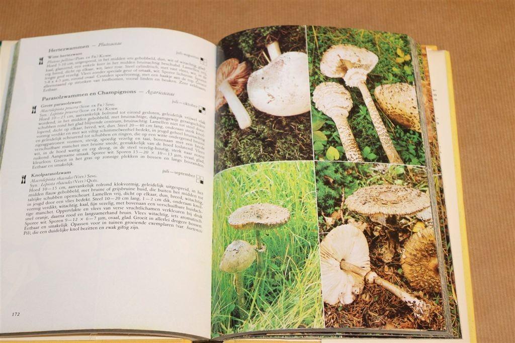 Thieme's Paddestoelengids — Rijk Geïllustreerd, Boeken, Natuur, Ophalen of Verzenden, Gelezen