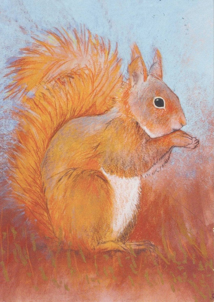 Eekhoorn  getekend 558, Verzamelen, Ophalen of Verzenden, 1980 tot heden, Gelopen, Knaagdier