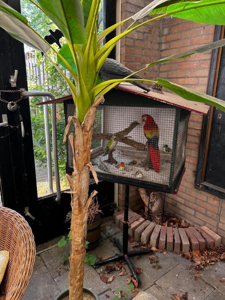 Vogelhuisje, Ophalen, Volle zon, Overige soorten, Minder dan 100 cm