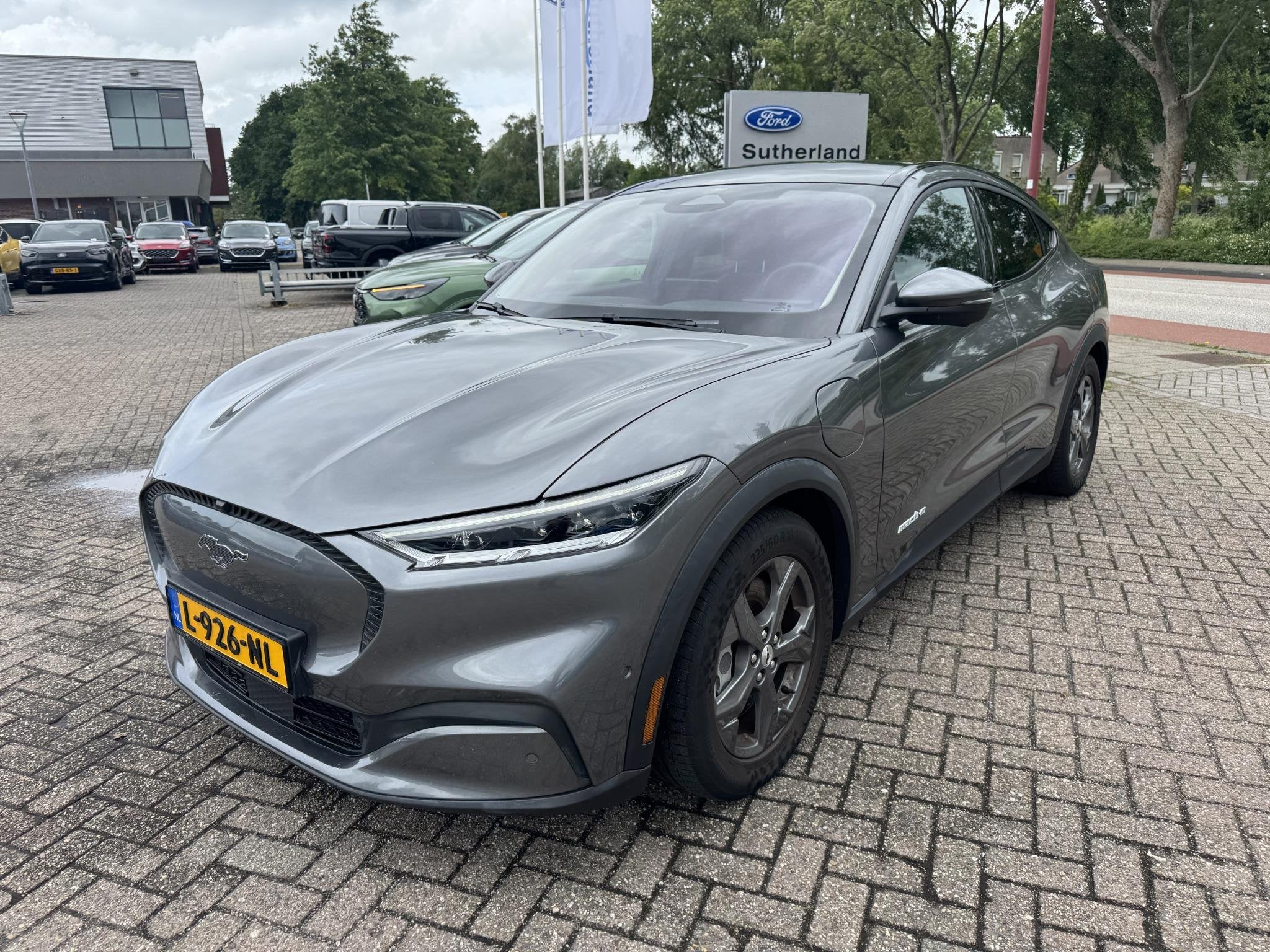 Ford Mustang Mach-E RWD 75 kWh 258pk Trekhaak | Elektrische, Automaat, Gebruikt, 750 kg, 258 pk