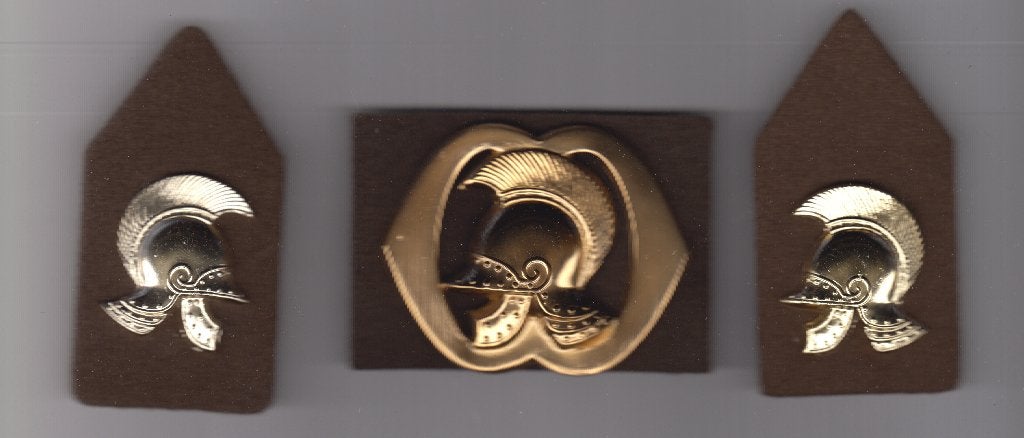 baretembleem en set kraagpatten genie, Ophalen of Verzenden, Landmacht, Nederland, Embleem of Badge