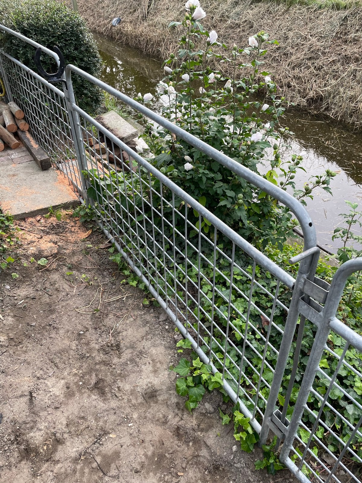 6 Schapenhekjes, Dieren en Toebehoren
