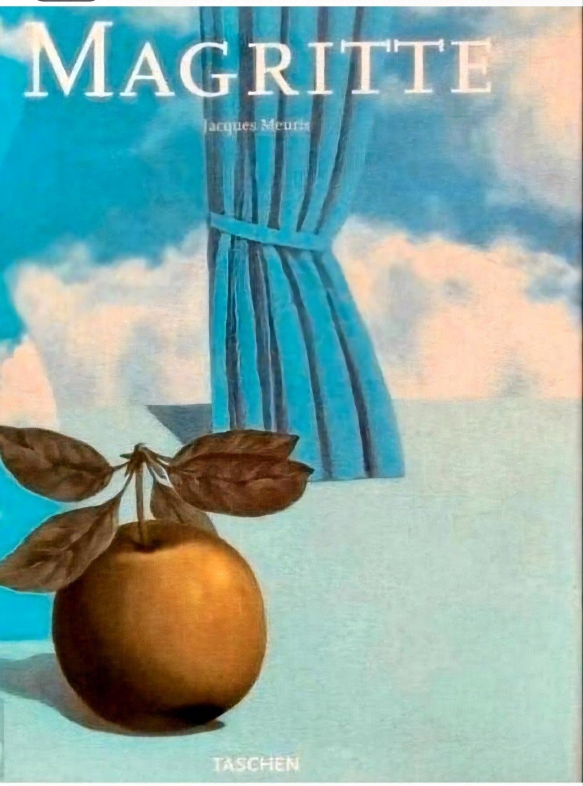 RENÉ MAGRITTE Taschen groot formaat hardcover Nederlands, Verzenden, Zo goed als nieuw
