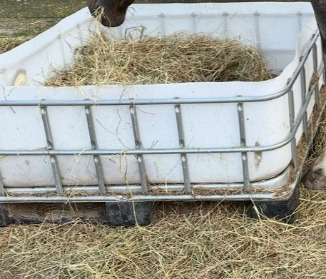 Hooibak / slowfeeder / paddock voerbak