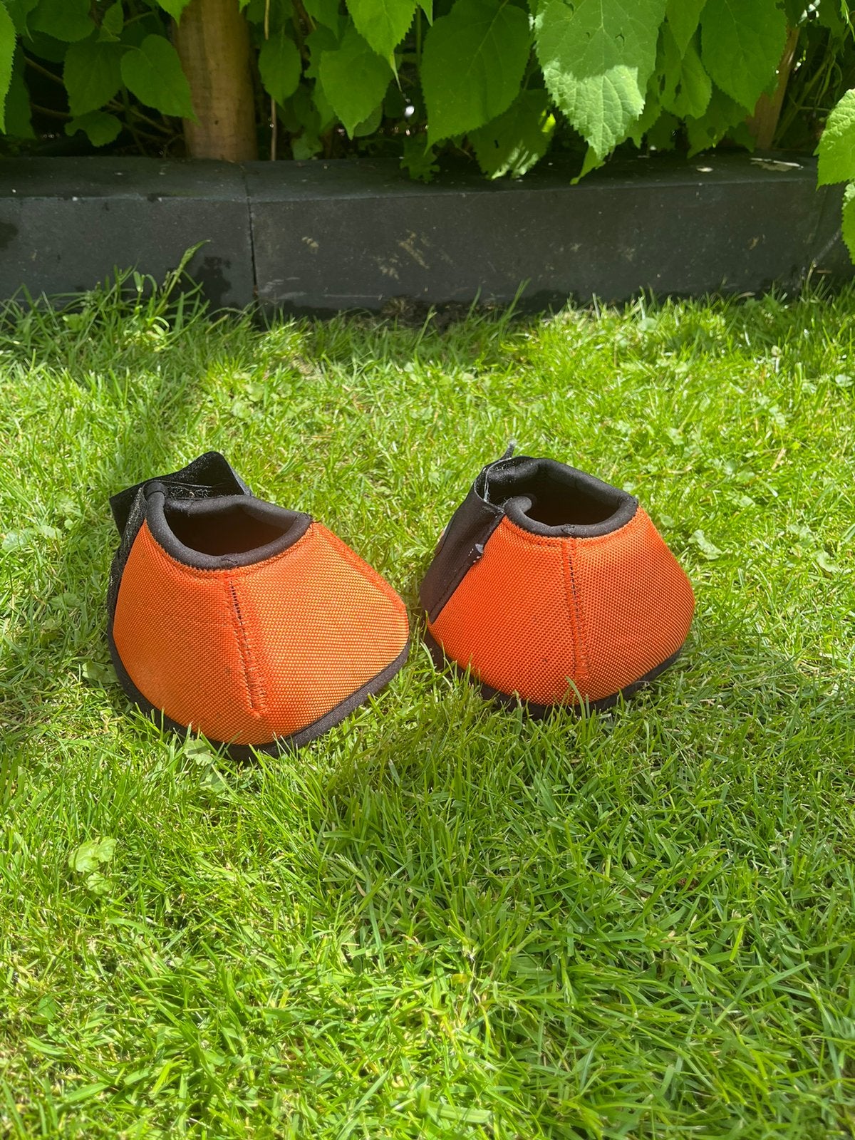Springschoenen maat M, Dieren en Toebehoren, Ophalen of Verzenden, Zo goed als nieuw, Springen