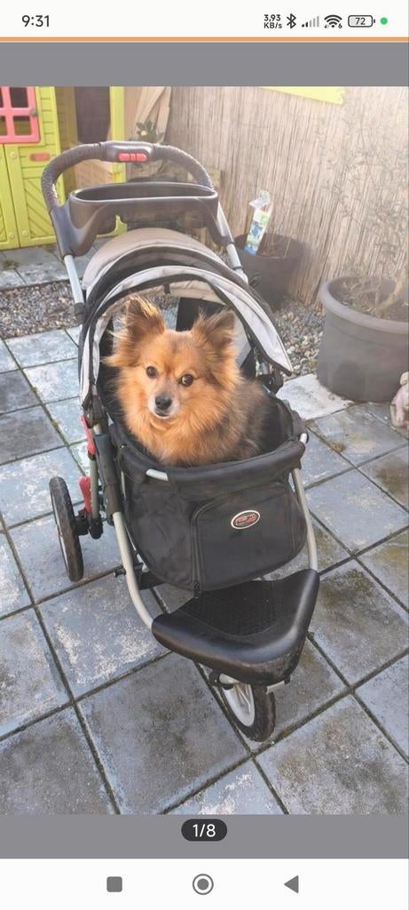 Innopet comfort efa, Dieren en Toebehoren, Honden-accessoires, Ophalen