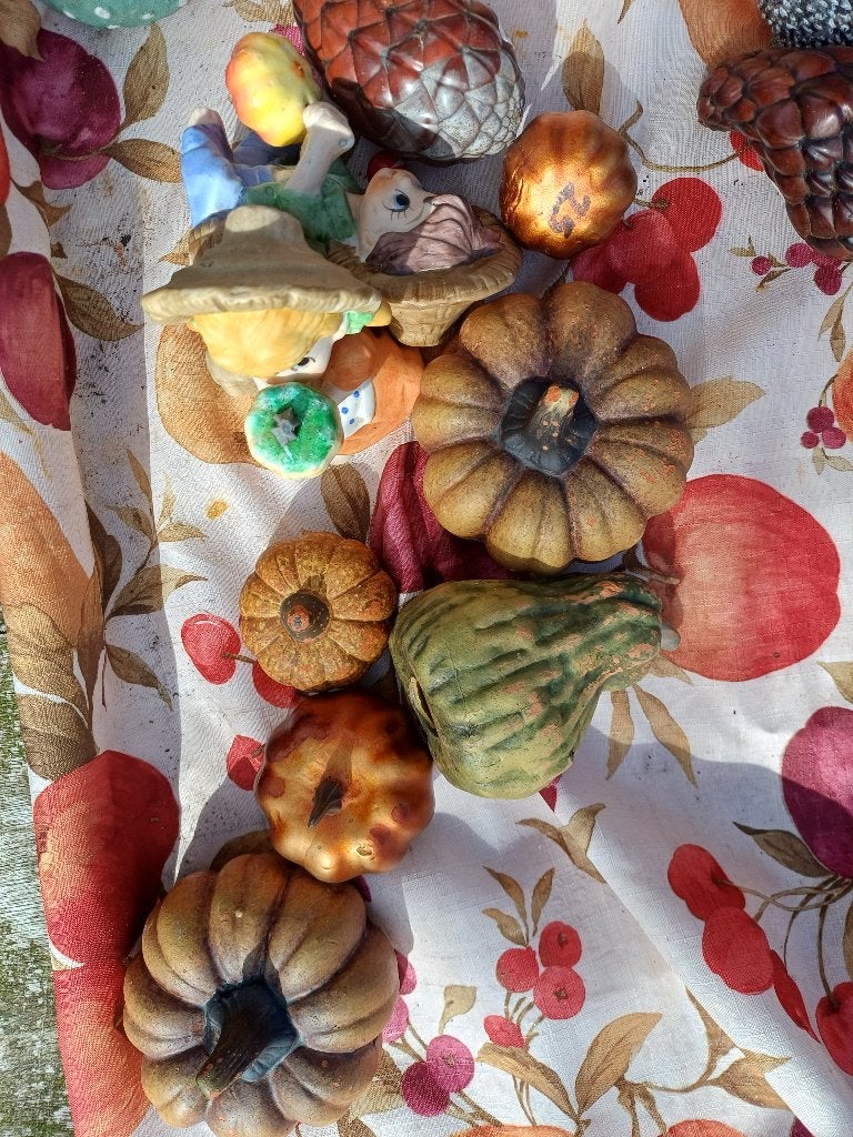 Kalebassen pompoenen herfst, Ophalen, Overige soorten, Volle zon