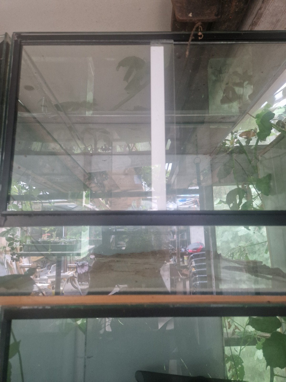 9x Terrarium 45x60x40 (4 zonder barst), Dieren en Toebehoren, Reptielen en Amfibieën | Toebehoren, Ophalen, Gebruikt, Terrarium of Paludarium