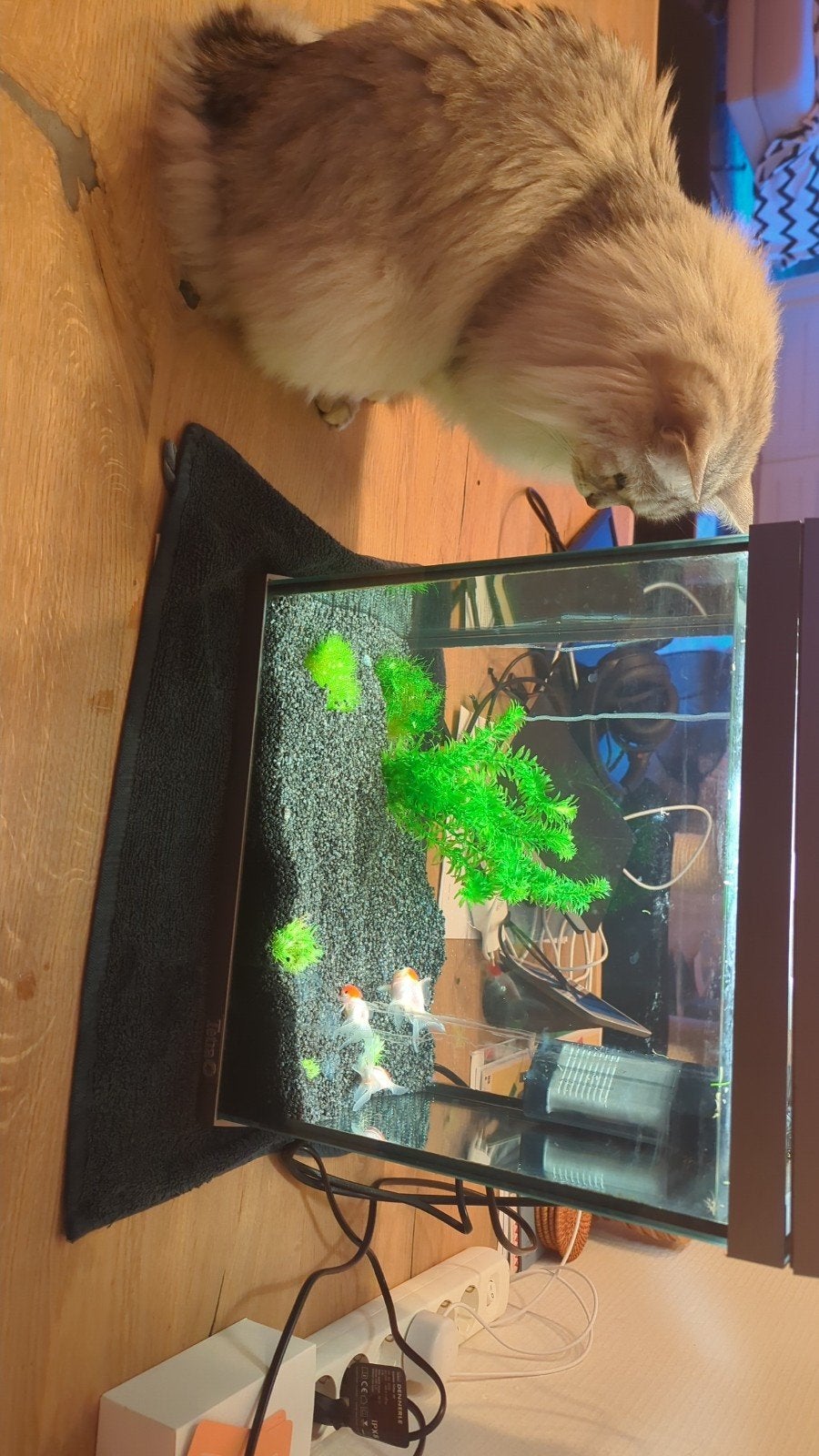 Klein aquarium met filter. Zonder vissen en steentjes. Leeg., Dieren en Toebehoren, Ophalen, Inclusief toebehoren, Gebruikt, Leeg aquarium