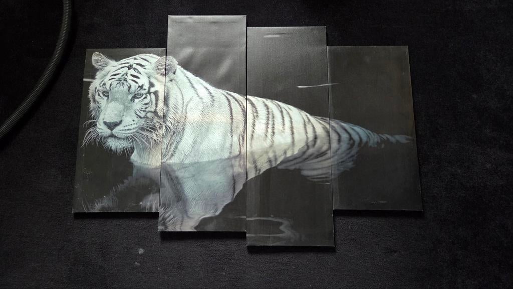 4-delig canvas schilderij met witte tijger, Gebruikt, 50 tot 75 cm, Ophalen of Verzenden, Schilderij