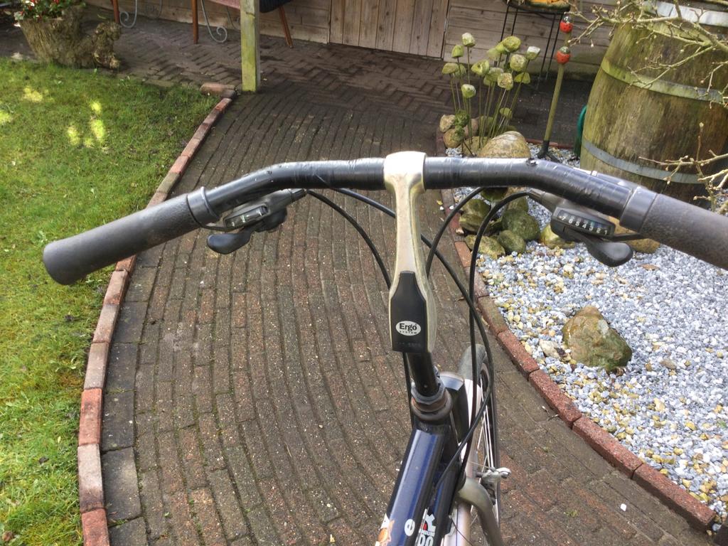 Batavus dames 28 inch 21 versn. Framehoogte 53cm, 53 tot 56 cm, Ophalen of Verzenden, Gebruikt, Batavus