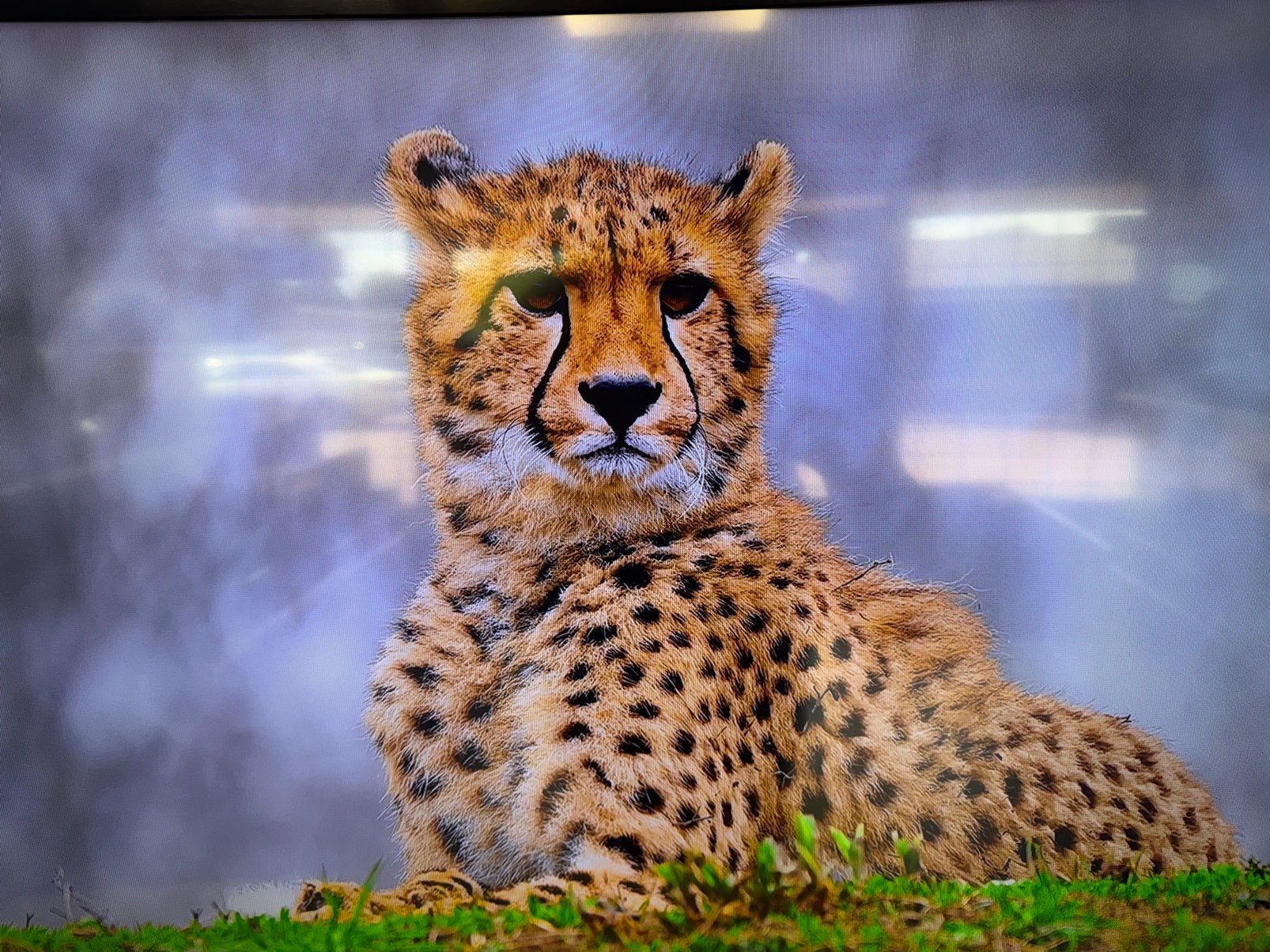 Samsung UE40J6370SU CURVED, Ophalen, LED, Show Tv Hengelo, Info@show-tv.nl