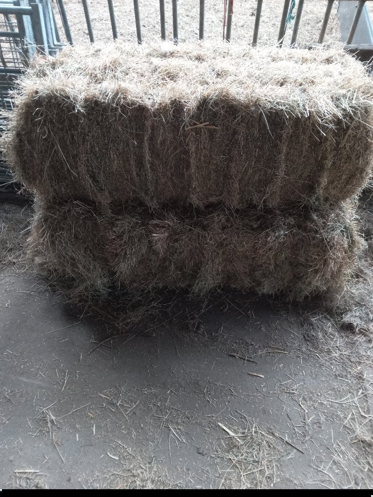 Hooi kleine balen te koop, Ophalen, Vee