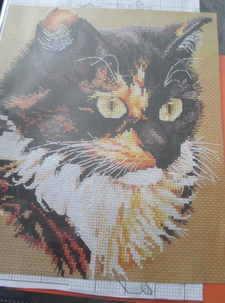 Borduurpatroon Poes, Verzenden, Zo goed als nieuw, Handborduren, Patroon